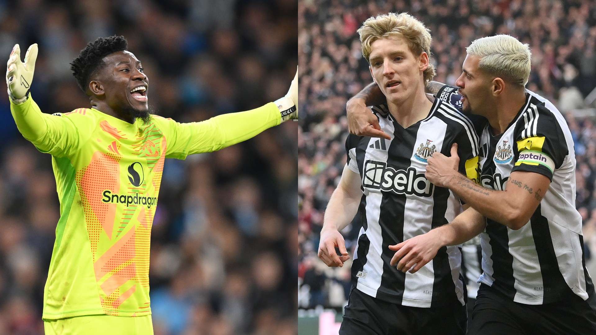 梅里尔惊喜 梅里尔惊喜